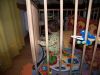100_1283.jpg