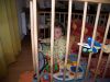 100_1284.jpg