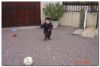 Filename=Image003~3.jpg
Filesize=91KB
Dimensions=640x433
Date added=Dec 11, 2007 Image003~3.jpg