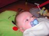 Filename=KIF_0755.JPG
Filesize=109KB
Dimensions=800x600
Date added=May 02, 2006 KIF_0755.JPG