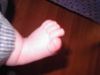 KIF_0806.JPG