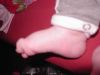 KIF_0900.JPG